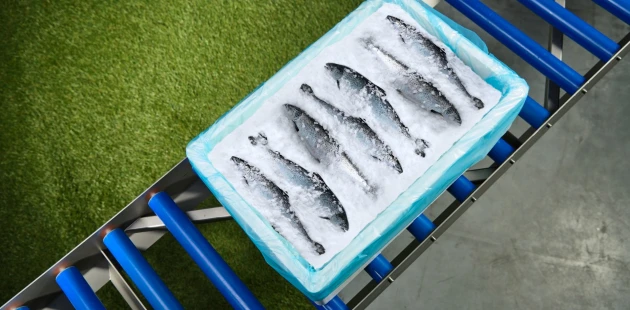 Forel Packing Niverplast