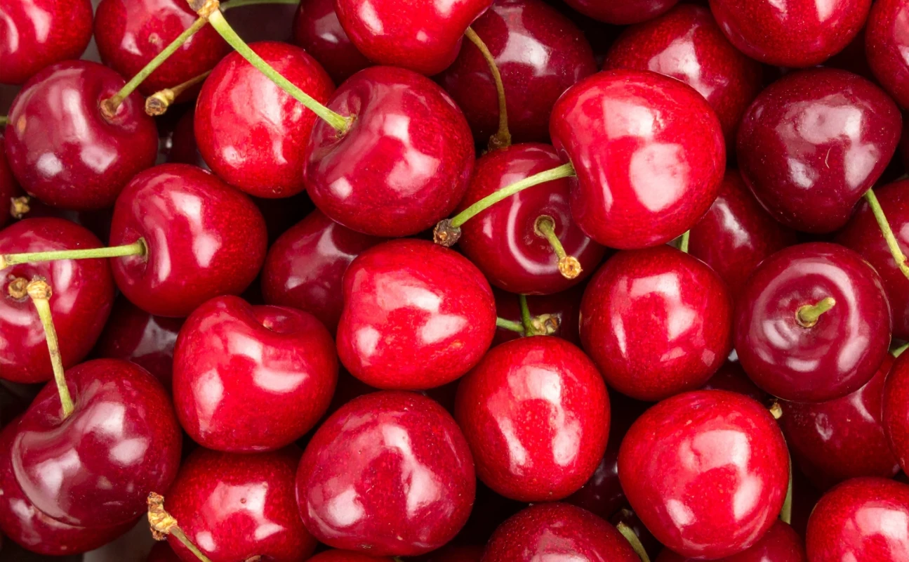 Cherries Niverplast FF59747